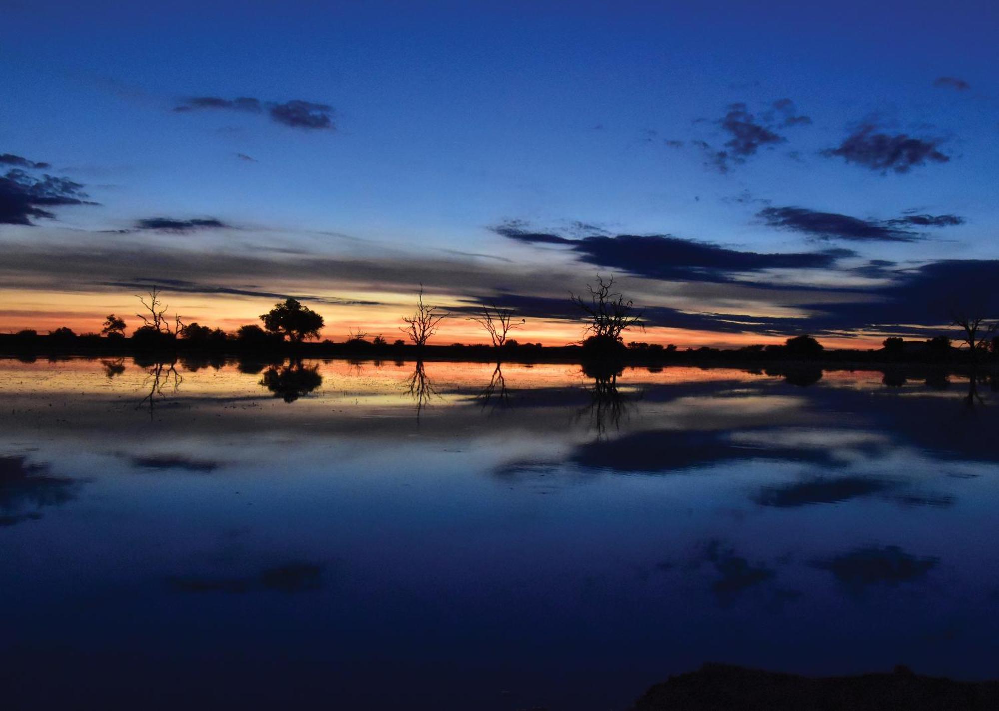 Madikwe River Lodge By Dream Resorts 매디퀘동물보호구역 외부 사진