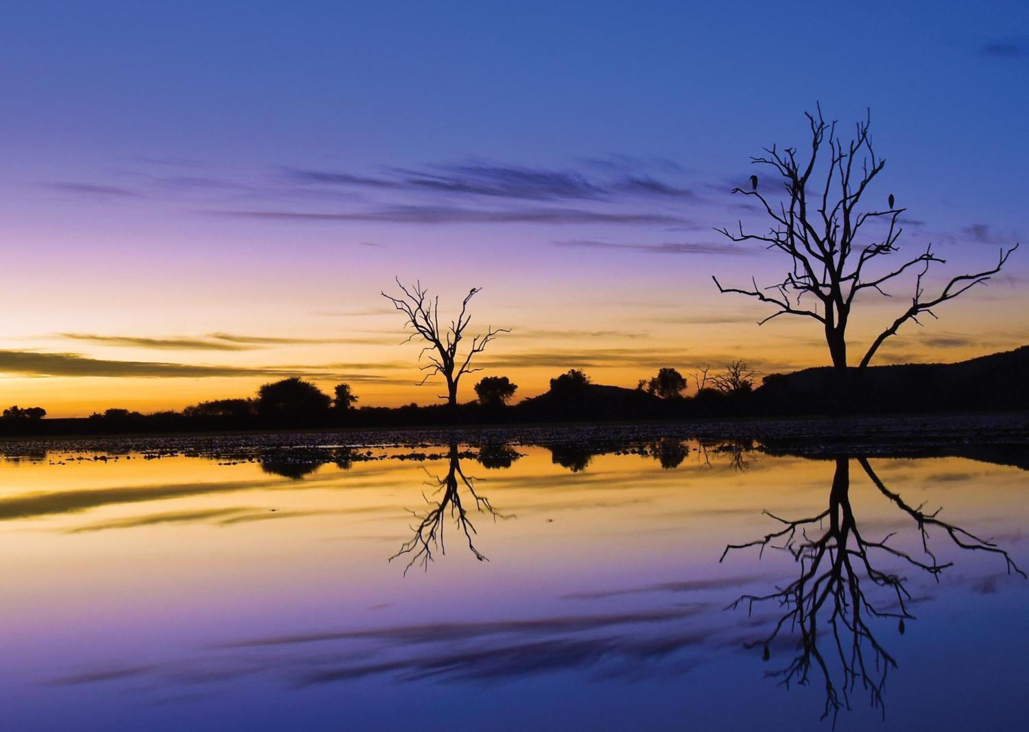 Madikwe River Lodge By Dream Resorts 매디퀘동물보호구역 외부 사진