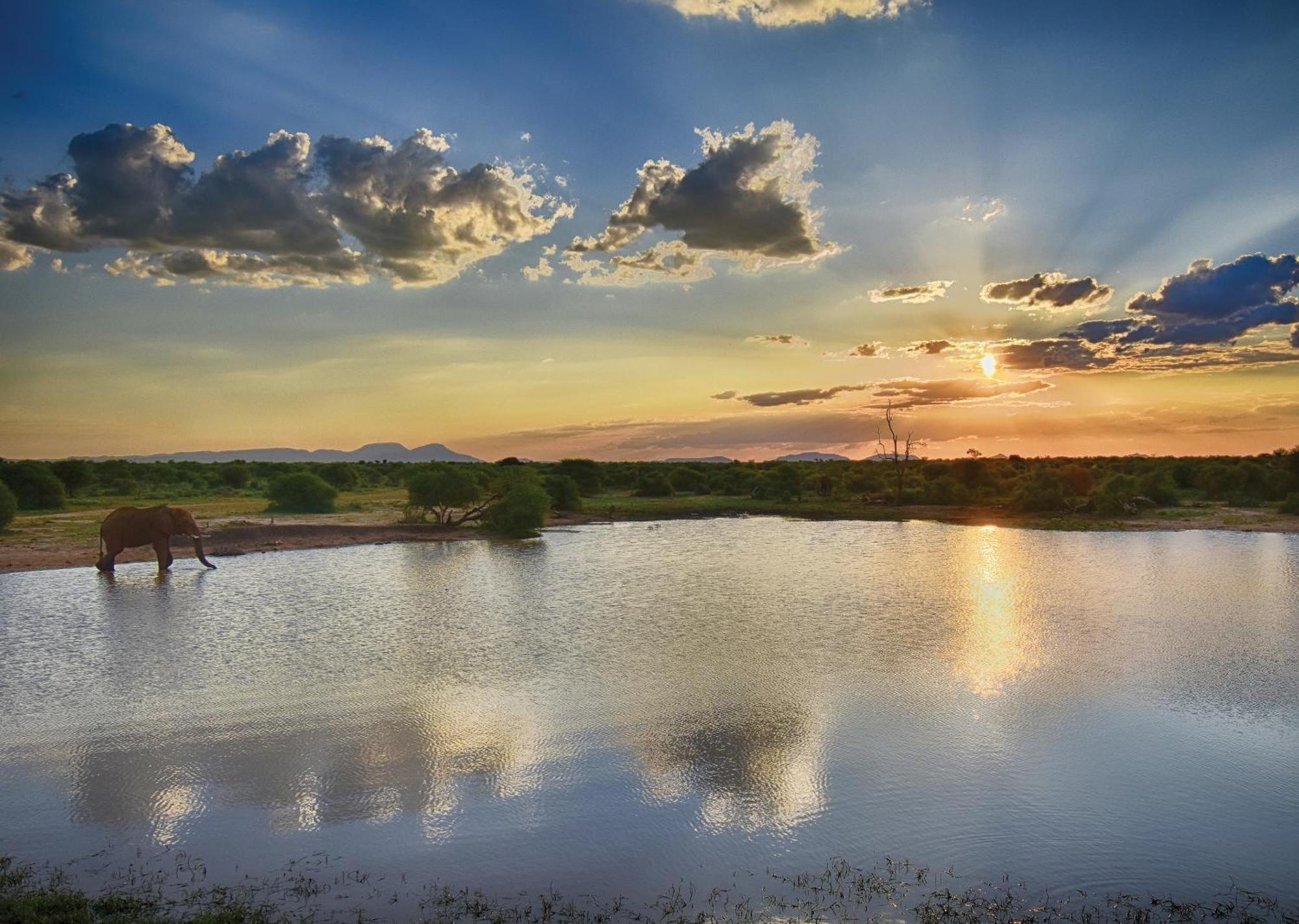 Madikwe River Lodge By Dream Resorts 매디퀘동물보호구역 외부 사진