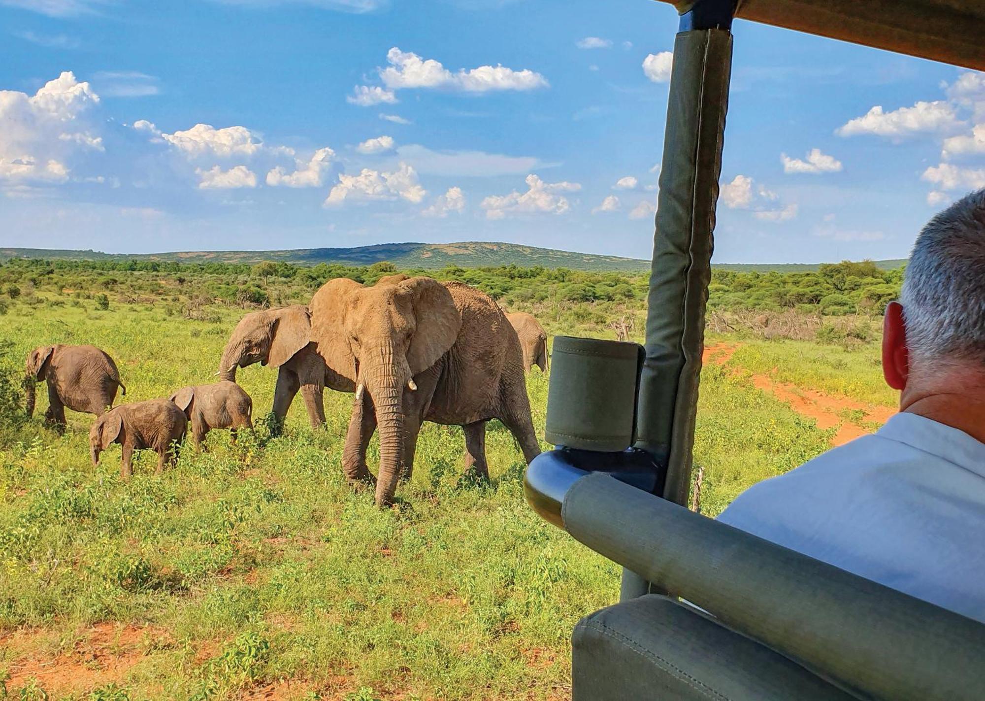 Madikwe River Lodge By Dream Resorts 매디퀘동물보호구역 외부 사진