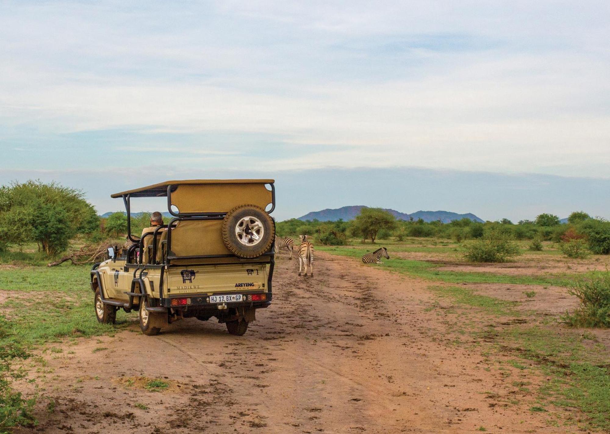 Madikwe River Lodge By Dream Resorts 매디퀘동물보호구역 외부 사진