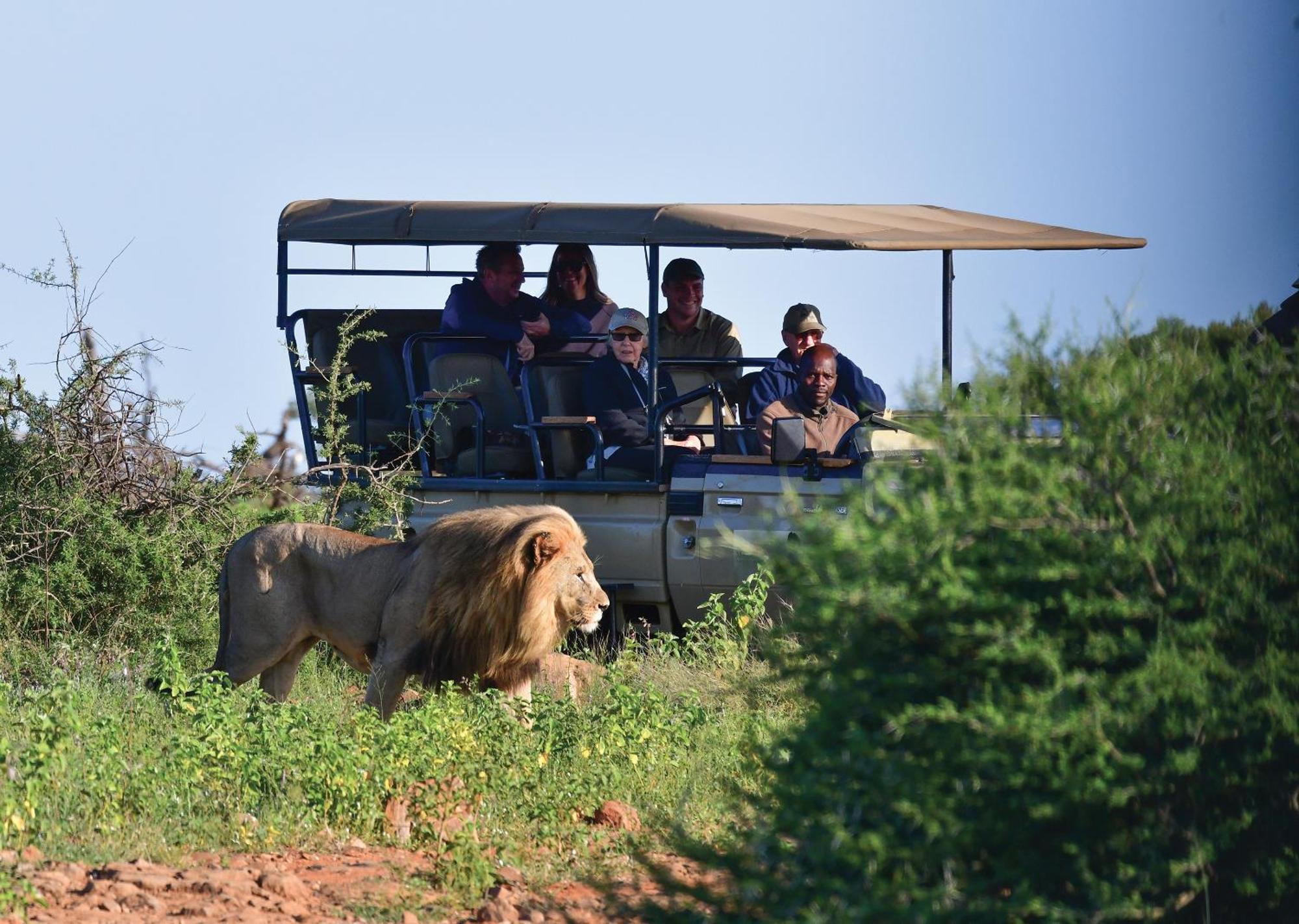 Madikwe River Lodge By Dream Resorts 매디퀘동물보호구역 외부 사진
