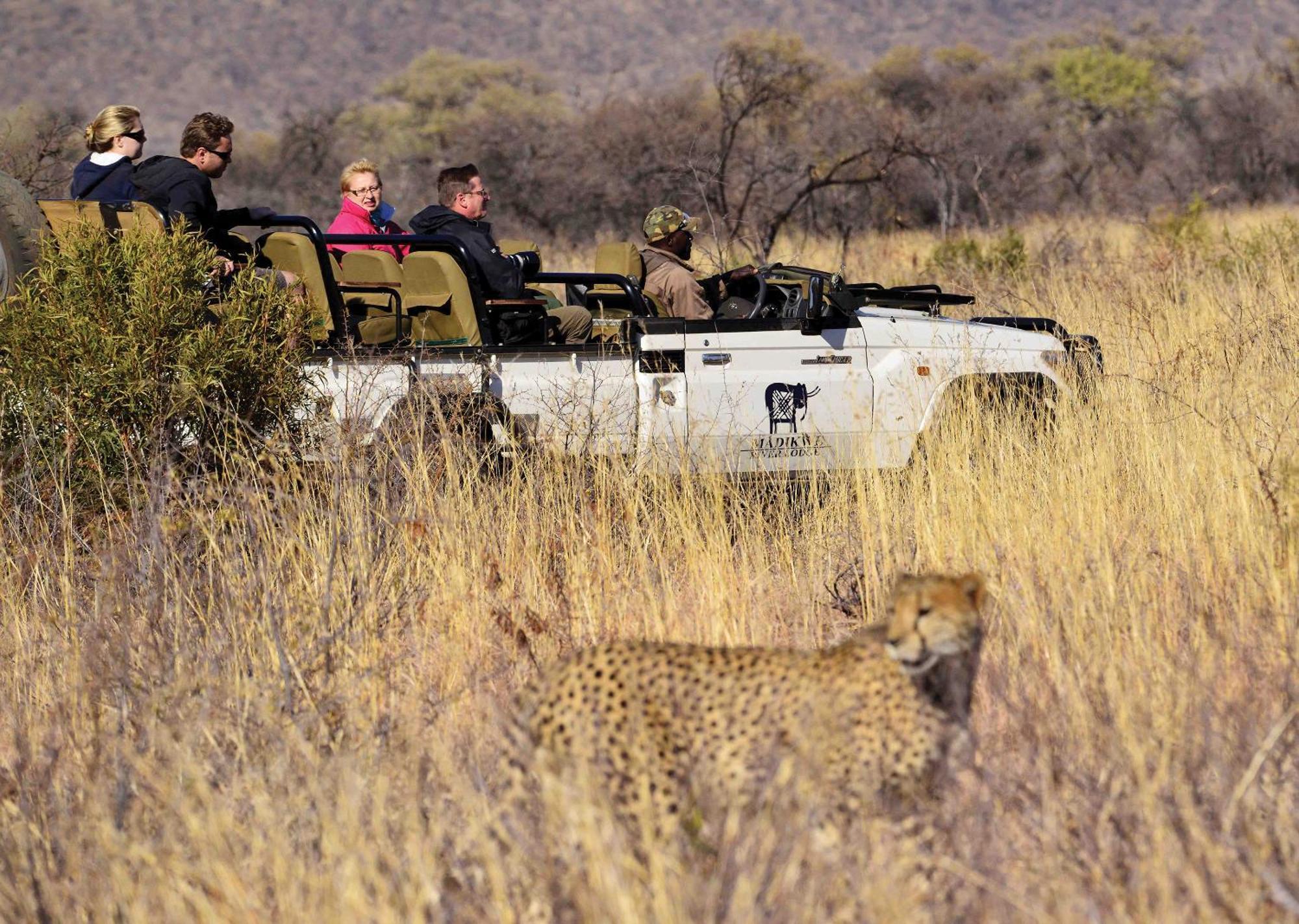Madikwe River Lodge By Dream Resorts 매디퀘동물보호구역 외부 사진