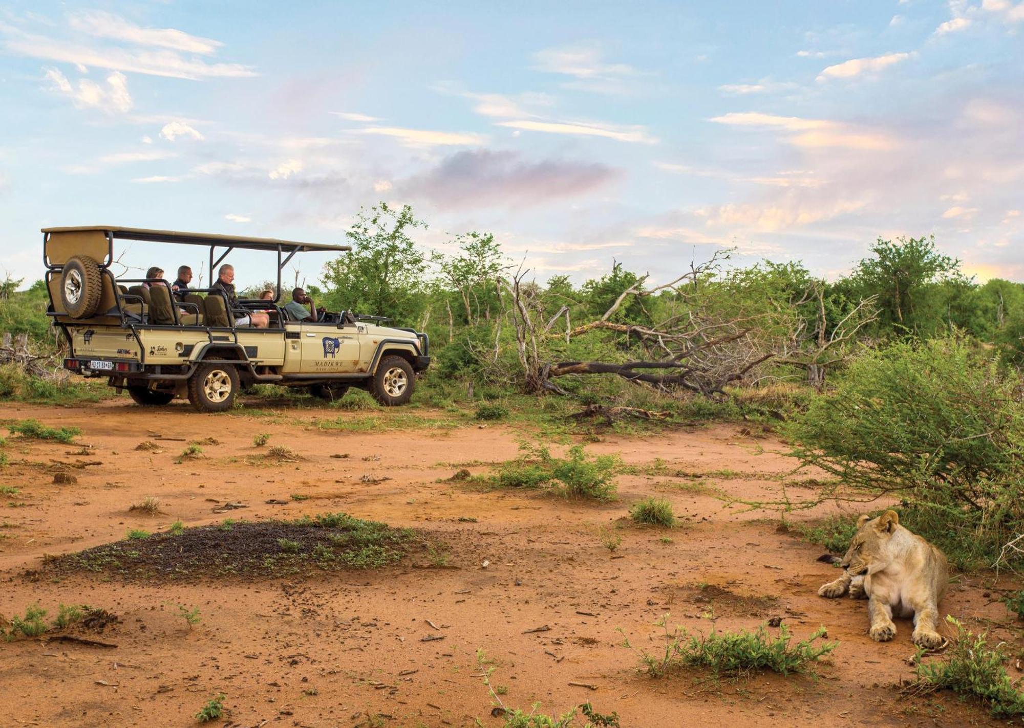 Madikwe River Lodge By Dream Resorts 매디퀘동물보호구역 외부 사진