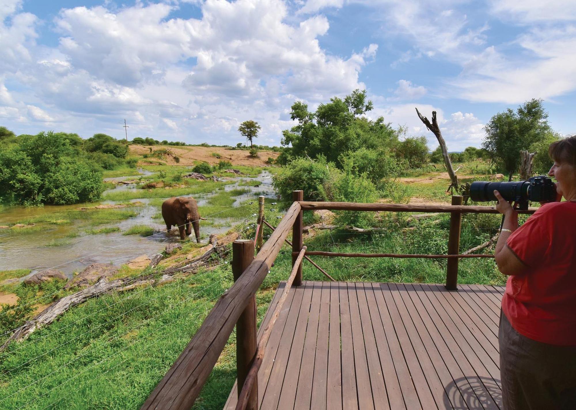 Madikwe River Lodge By Dream Resorts 매디퀘동물보호구역 객실 사진
