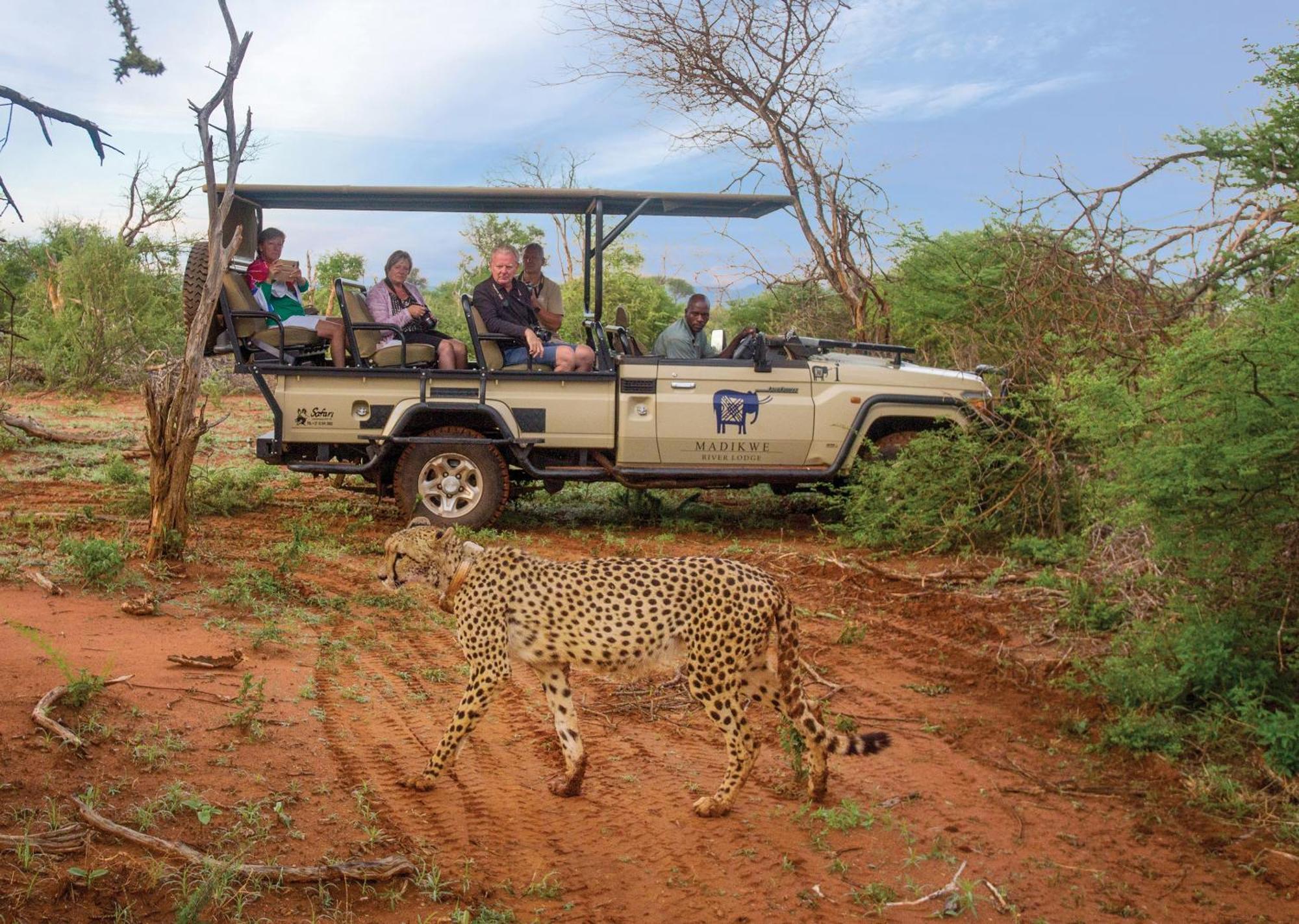 Madikwe River Lodge By Dream Resorts 매디퀘동물보호구역 외부 사진